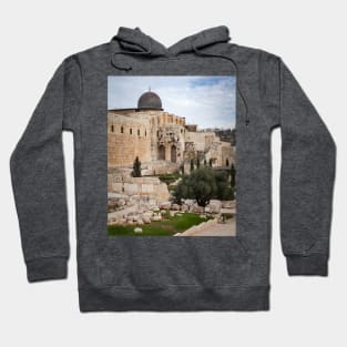 Jerusalem Archaeological Park, Israel Hoodie